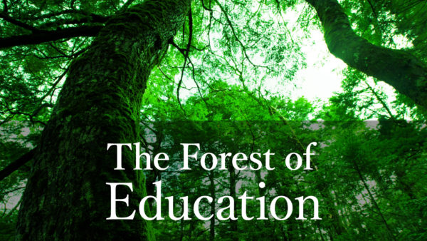 The Forest of Education